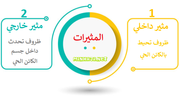 أصناف المثيرات أصناف المثيرات